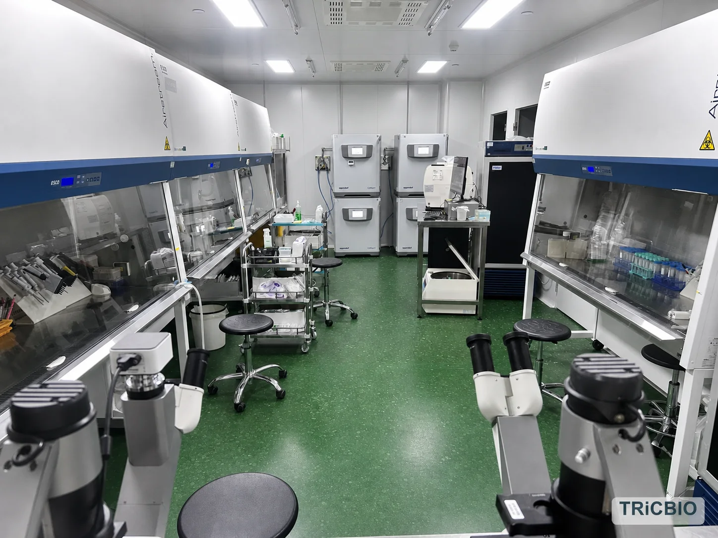Organoid culture and laboratory workspace at the TRiCBIO Nanjing R&D center