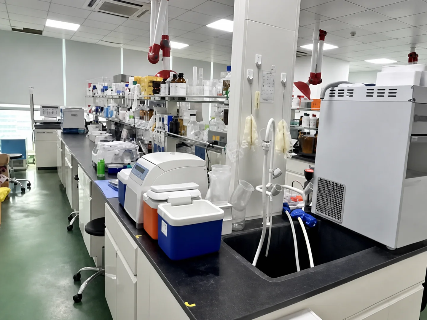 Shared laboratory area at the TRiCBIO Nanjing R&D center