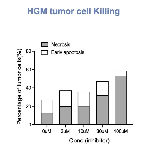 Tumor-cell killing readouts in glioma PDO 2.0 across inhibitor concentrations