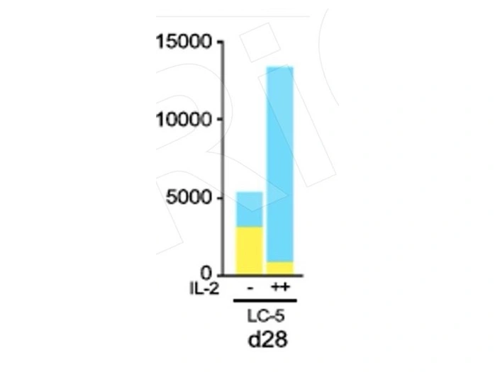 LC-5在d28及不同IL-2条件下的相关读数