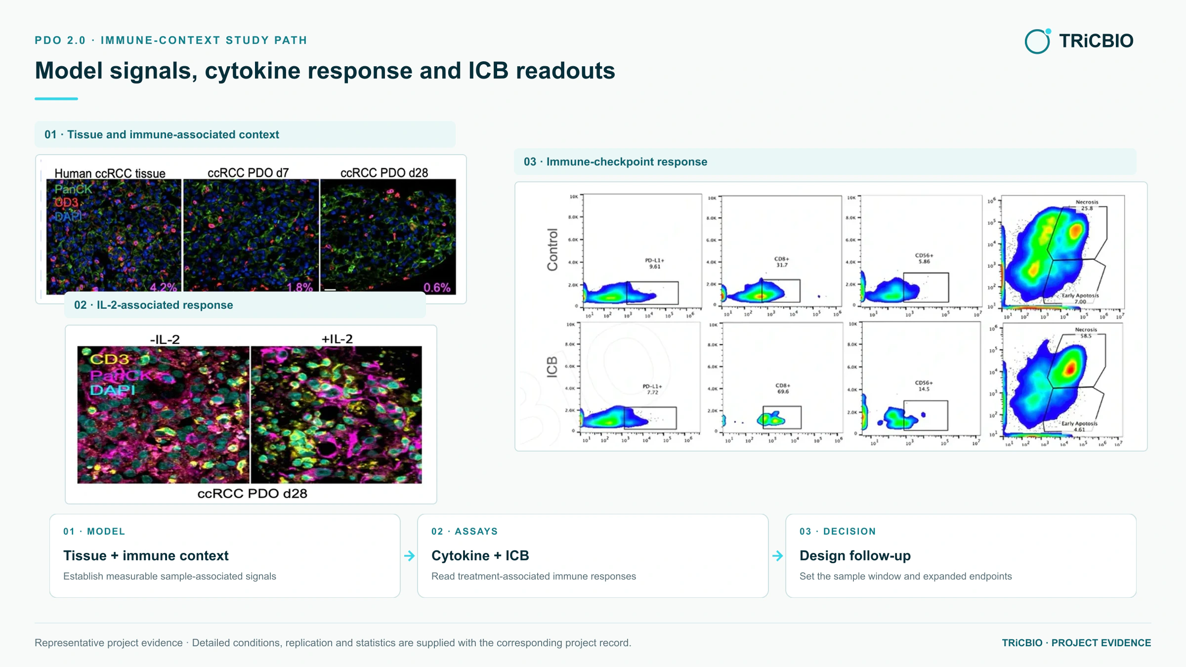 ccRCC tissue and PDO culture characterization, IL-2 stimulation and ICB-related flow readouts in PDO 2.0